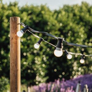 Lichterketten Glühbirnen 25m, 50 Birnen