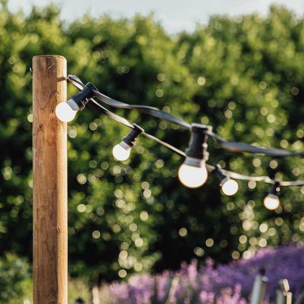 Lichterketten Glühbirnen  50m, 50 Birnen