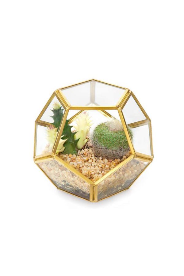 Mini Terrarium Bowl gold