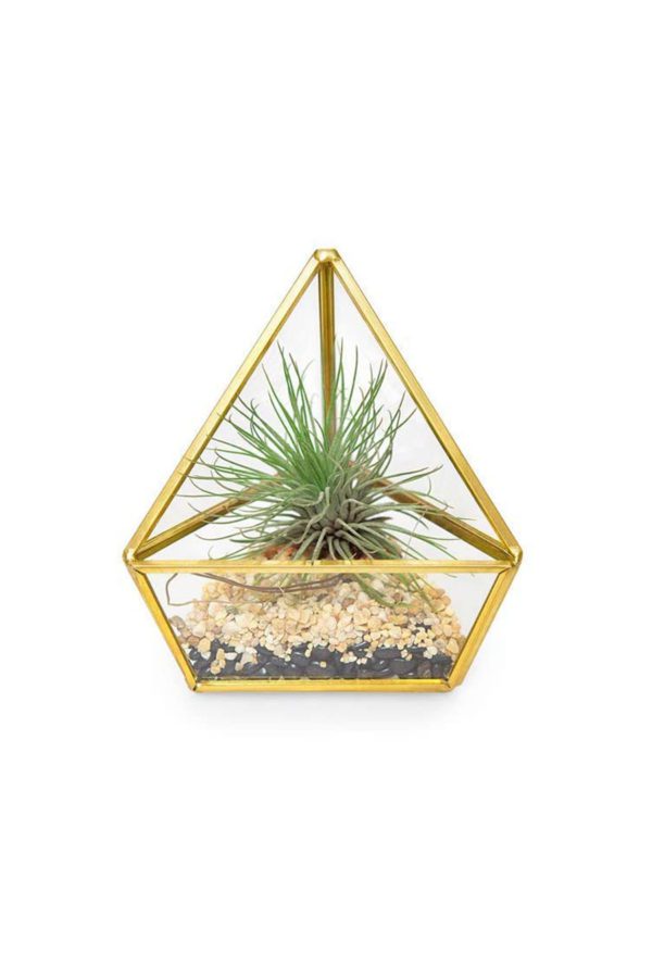 Mini Terrarium Triangle gold